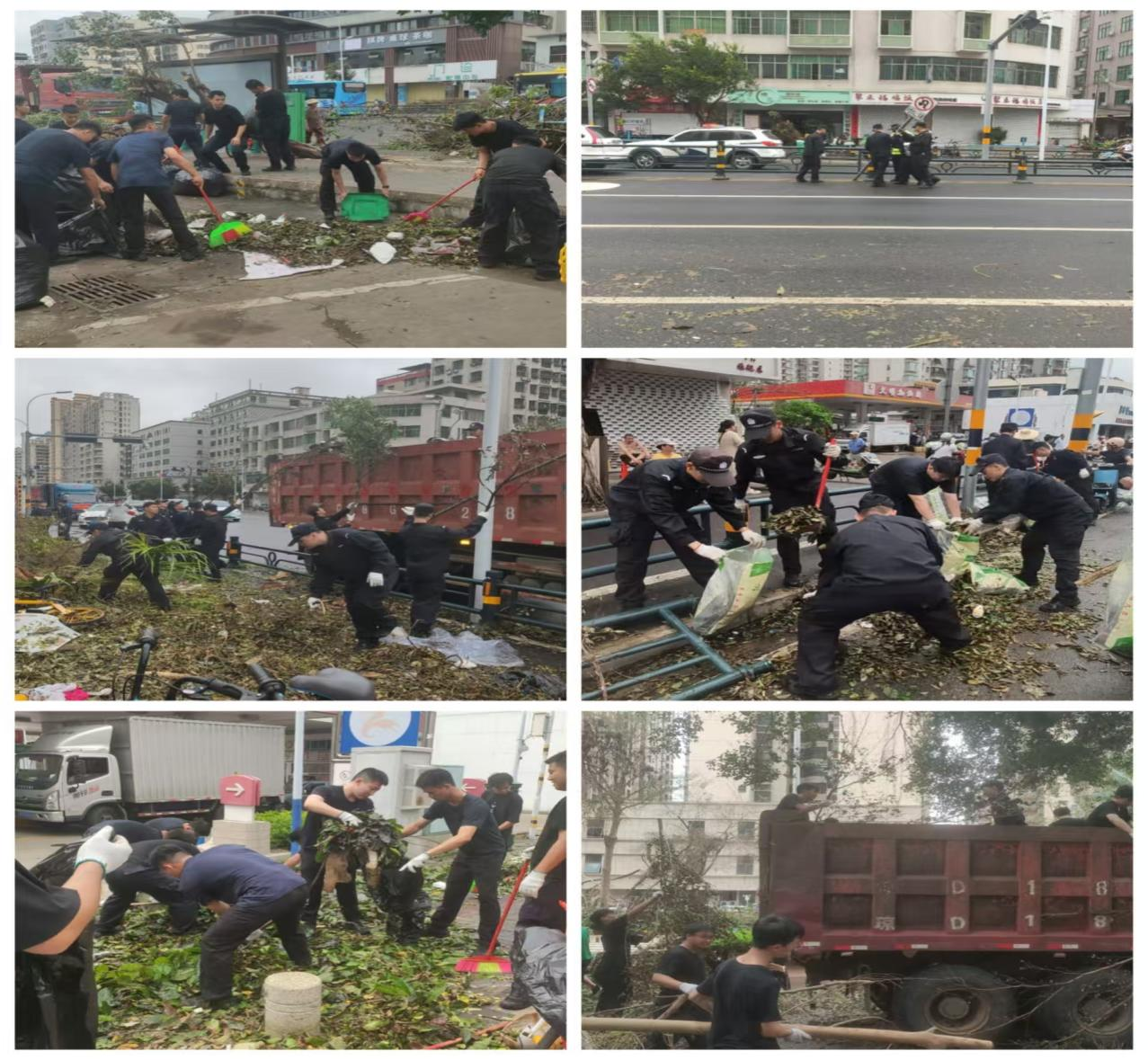 图片10.png 图片10.png